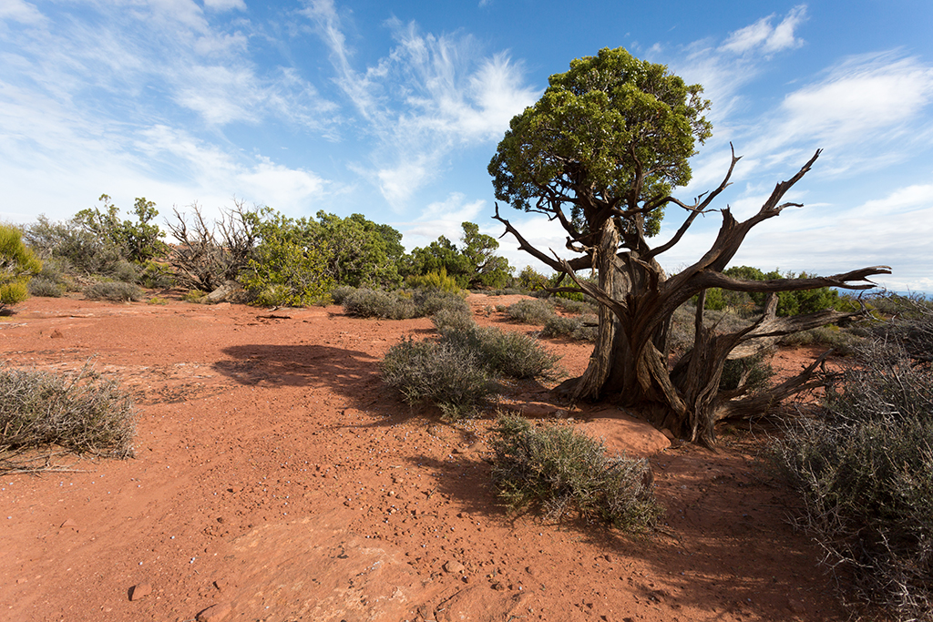 10-09 - 09.jpg - Gooseberry Trail, Canyonlands National Park